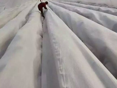 �����ޑ�(y��ng)���ڴ��ﱣ��/��ݮ����/��ݮ����