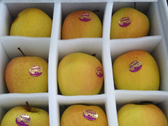 ������b���Ϟ�ʲôҪ�������ރ�(n��i)�Ѓ�(n��i)�r��