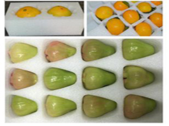 ��ʲô�Ϸ������ޱ��V�����ڼ����(n��i)���У�